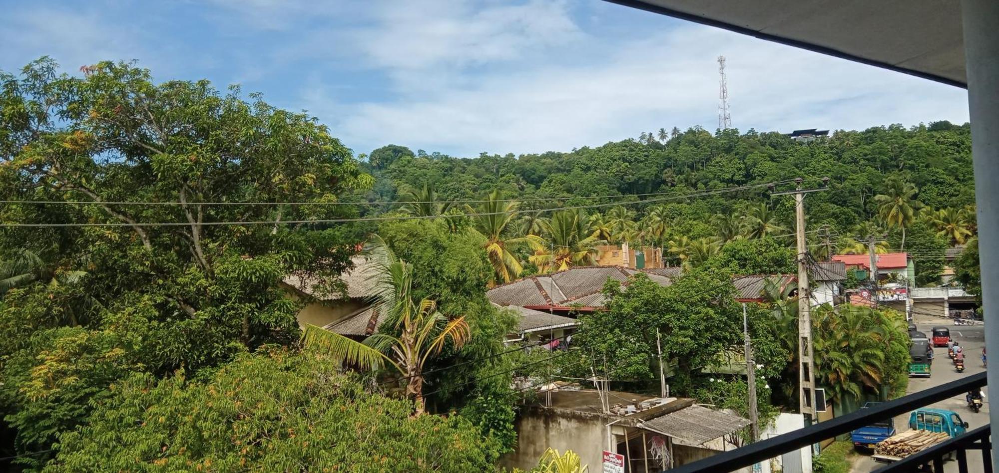 Jungle House Apartment *